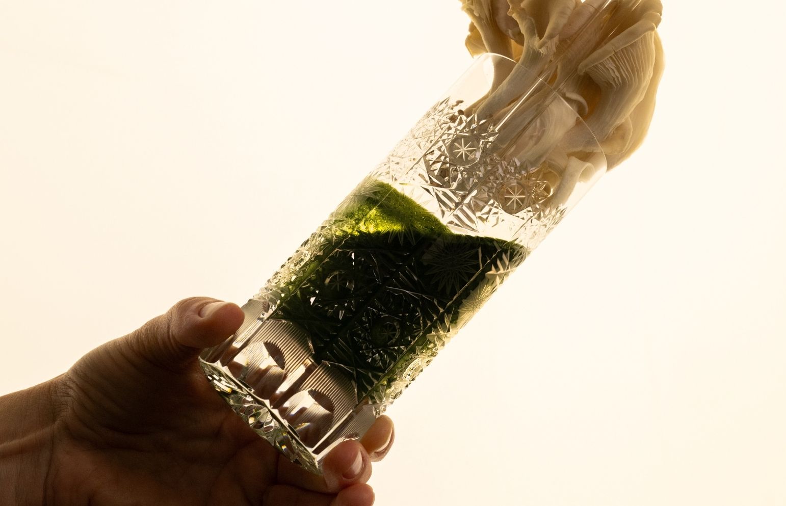 Zelené superpotraviny v praxi: Recepty, tipy a ďalšie hviezdy medzi greenmi – 2. časť