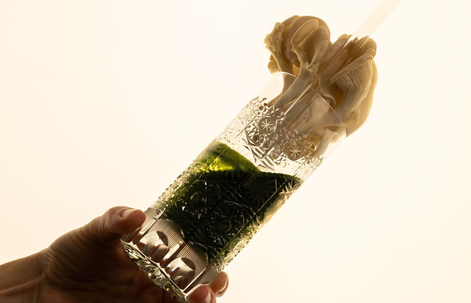 BLOG - Organic Oasis-2