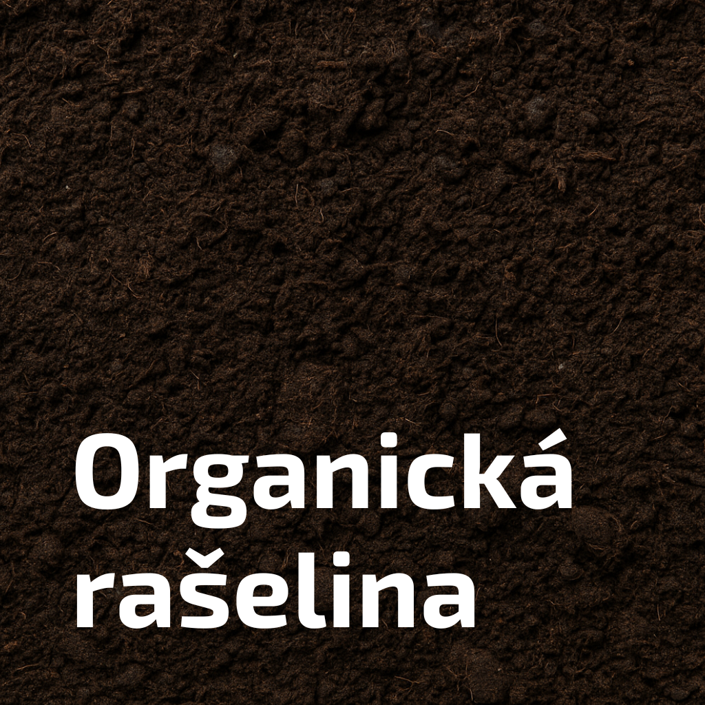 Organická rašelina