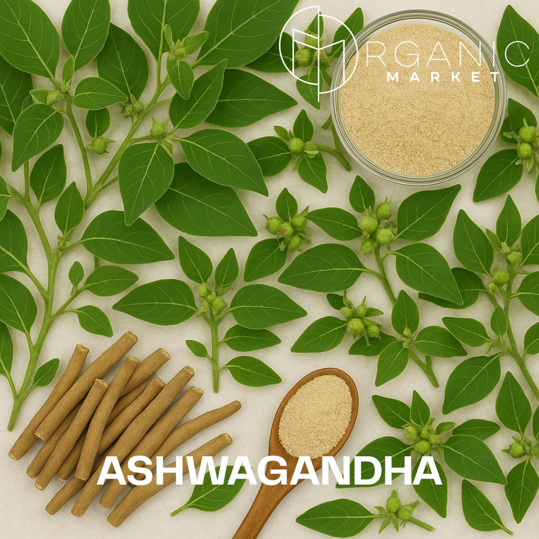 Ashwagandha: Ajurvédský poklad pro zvládání stresu a podporu vitality