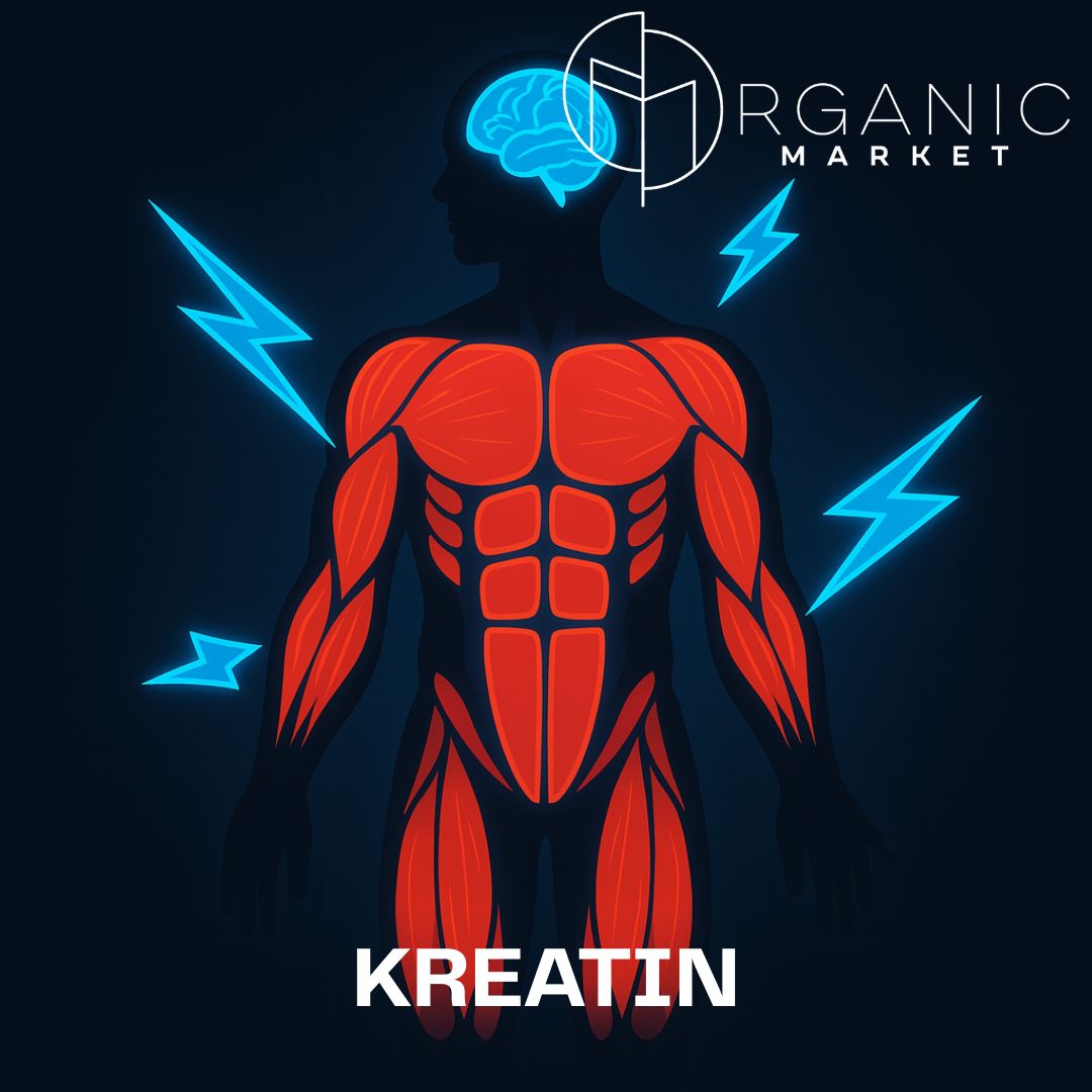 Kreatin -  malý prášek, který dodá svalům „turbo“ a mozku jiskru