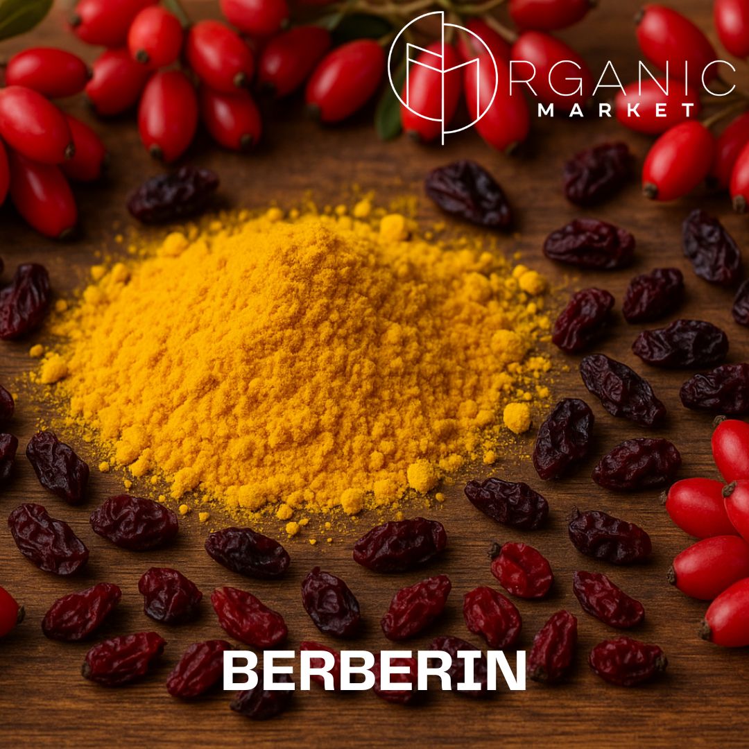 Berberin: kanárkově žlutý alkaloid s metabolickým „multitaskingem“