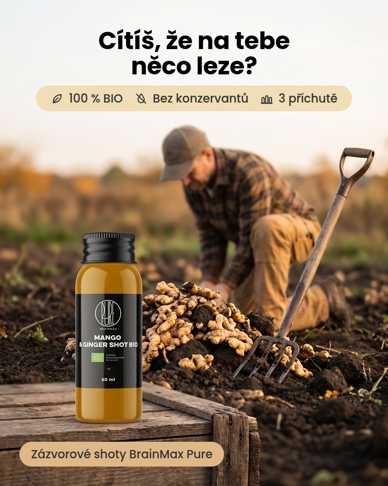 Cítíš, že na tebe něco leze? Zázvorové shoty BrainMax Pure