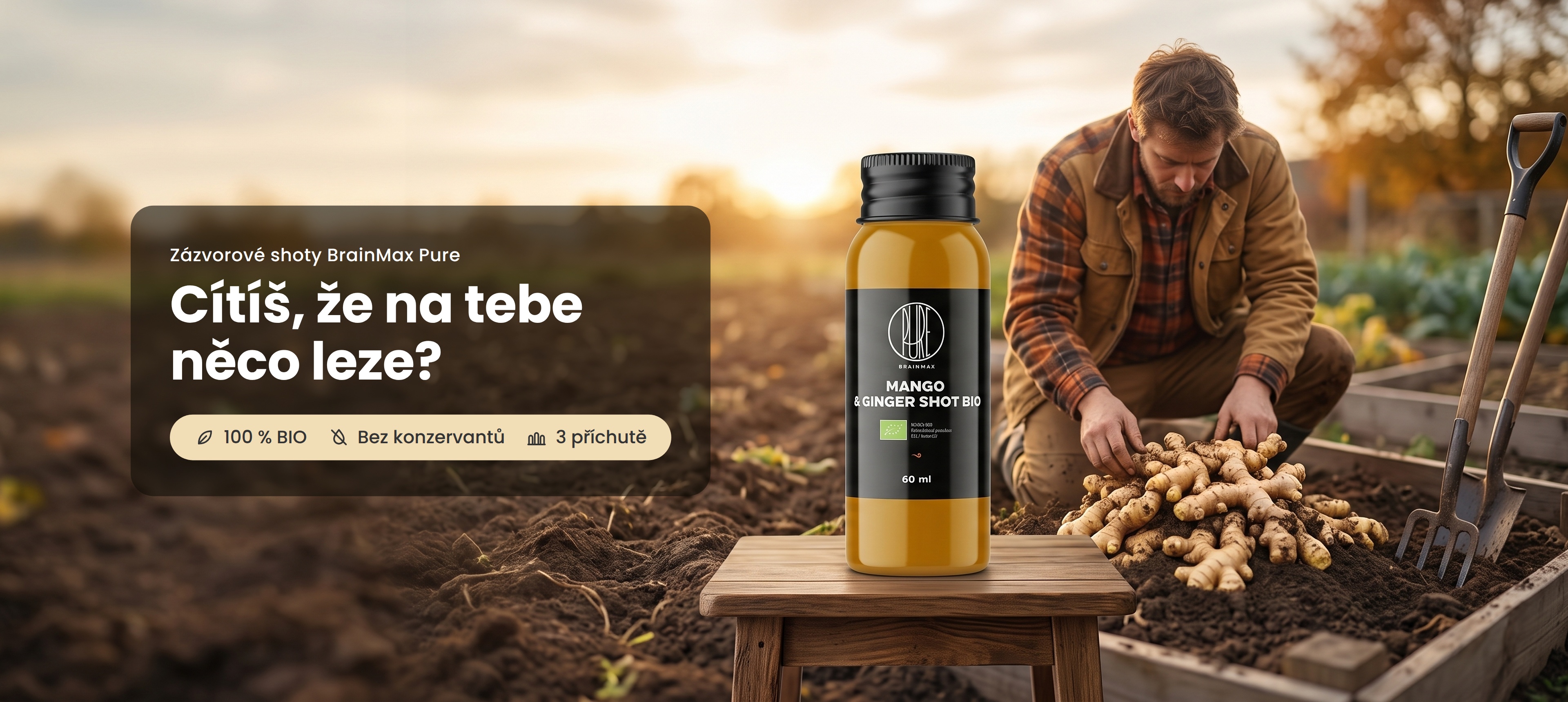 Cítíš, že na tebe něco leze? Zázvorové shoty BrainMax Pure