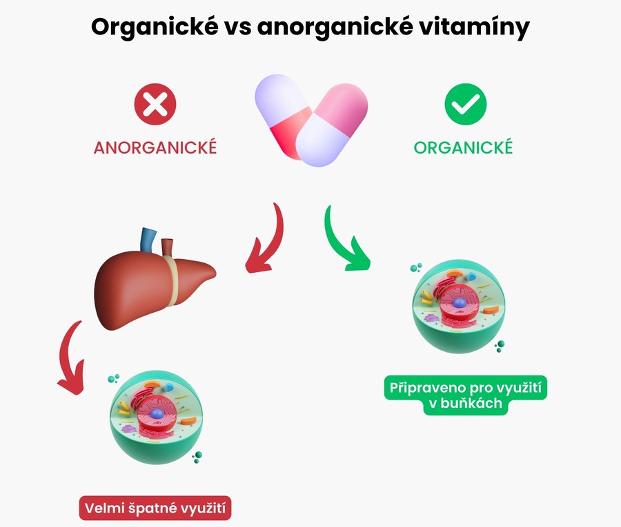 Organické vs anorganické vitamíny