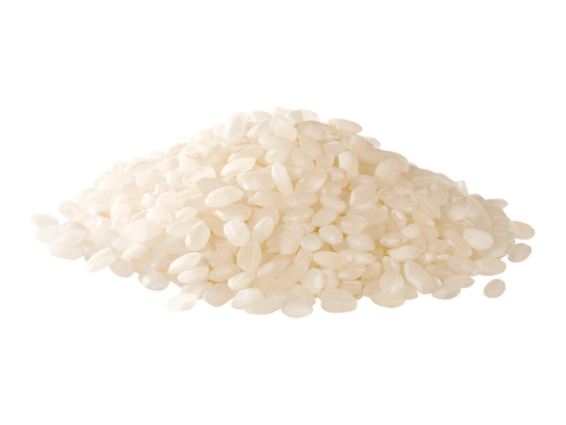 Rýžový protein