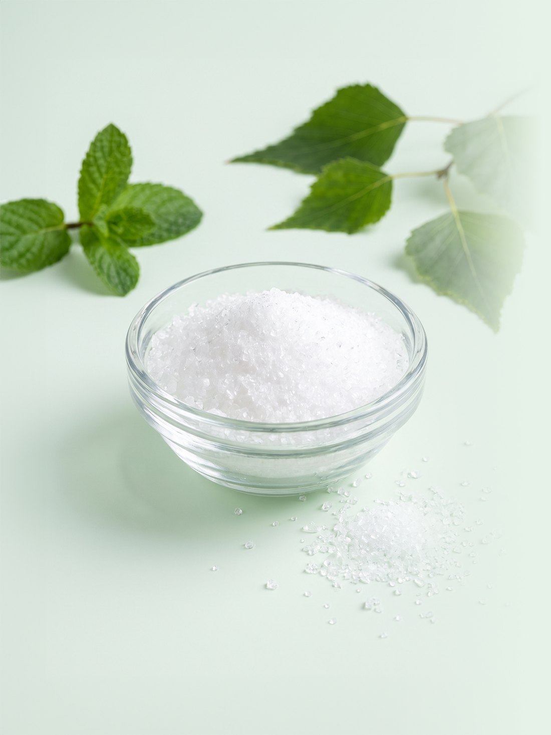 Xylitol a mátové lístky