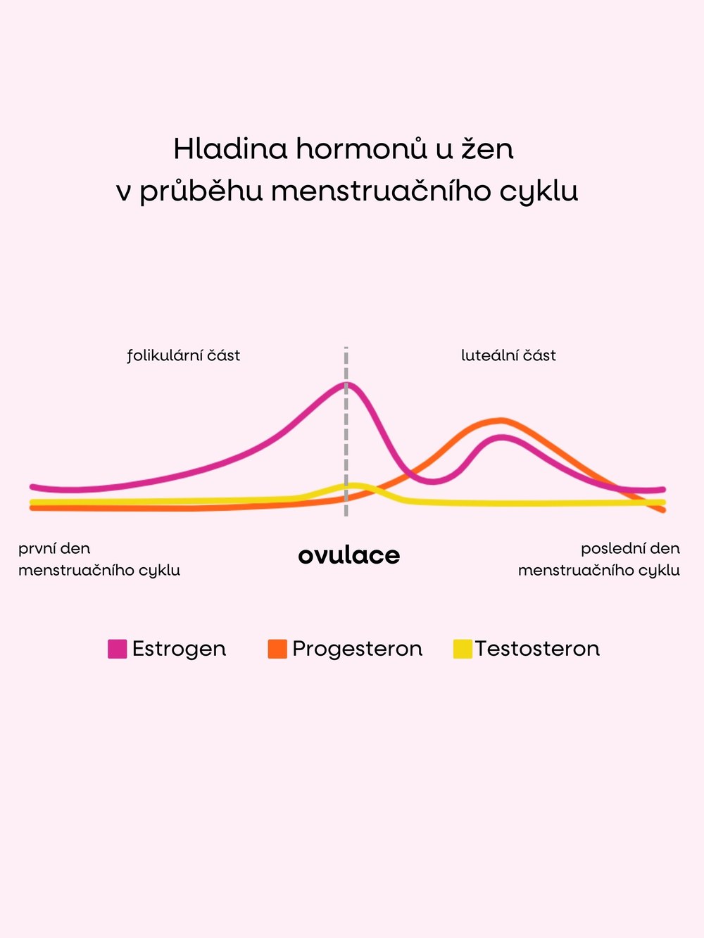 Hladina hormonů u žen v průběhu menstruačního cyklu