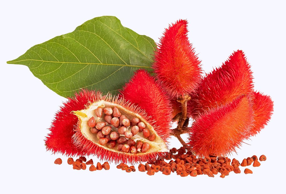 Plody annatto (Bixa orellana)