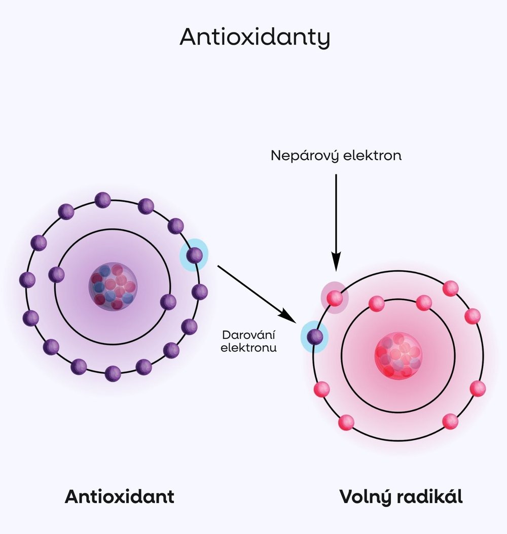 Schéma: antioxidant daruje elektron volnému radikálu