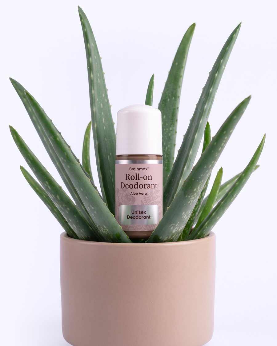 Deodorant Brainmax Roll-on Aloe Vera v rostlině aloe vera
