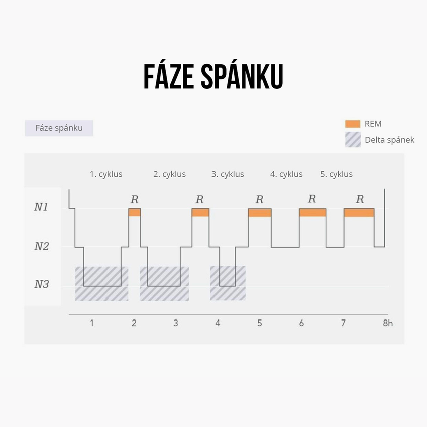 Fáze spánku