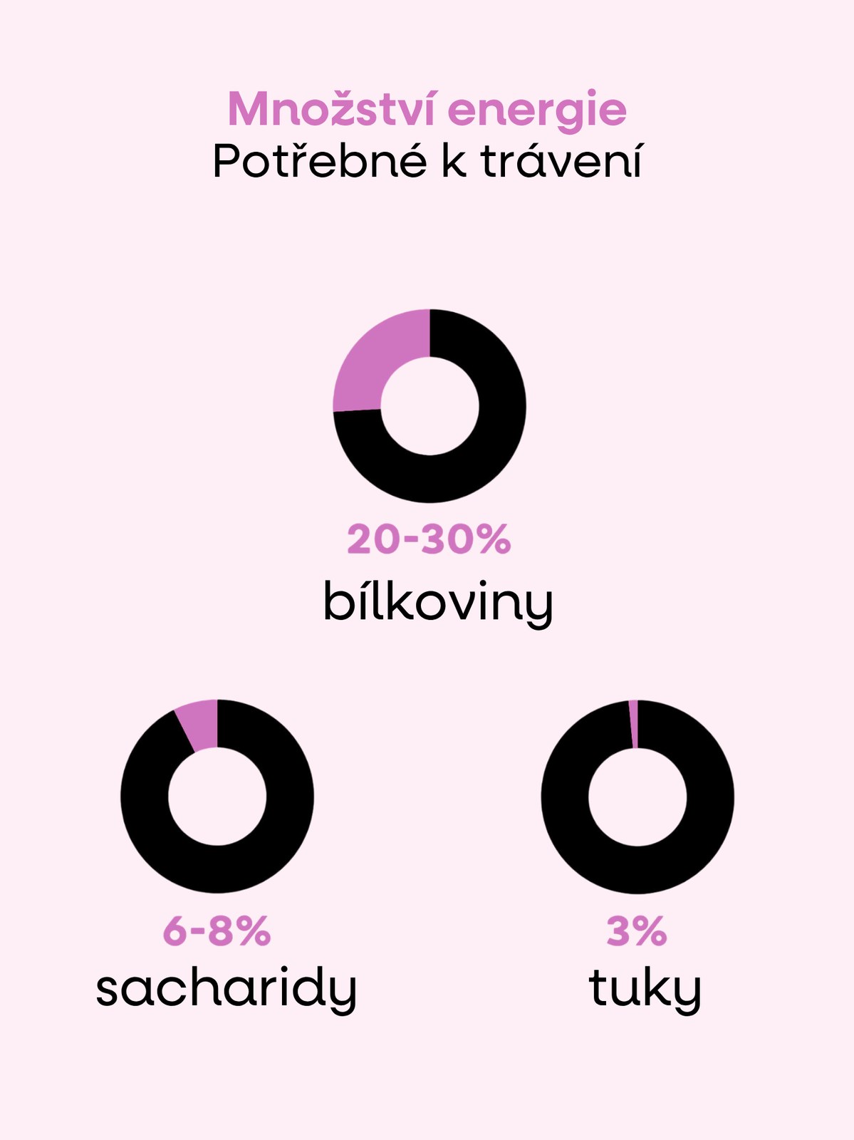 Bílkoviny - základ pro svaly, sílu a regeneraci
