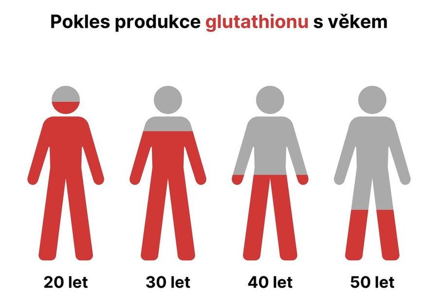 Pokles produkce glutathionu s věkem – postavy ve 20, 30, 40 a 50 letech