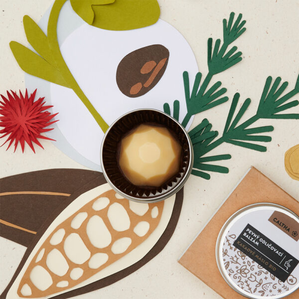 CALTHA - Tuhý odličovací balzám na obličej, 11 g