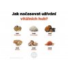 32160 jak nacasovat uzivani vitalnich hub cz