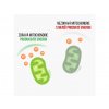 49000 mitochondrie