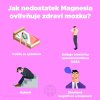 Performance Magnesium 1000 mg, (Hořčík 200 mg + Vitamín B6), 4 rostlinné kapsle, VZOREK