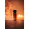 WellMax Christmas Spice Essential Oil, 100% přírodní esenciální olej, 10 ml