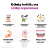 65715 4 ucinky horciku na lidsky organismus infografika brainmarket cz