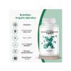 BrainMax Spirulina BIO, 500 tablet, EXPIRACE 09/25