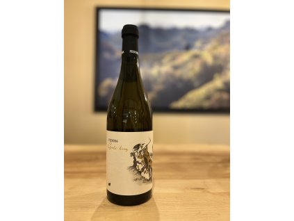 fedora goli breg belo