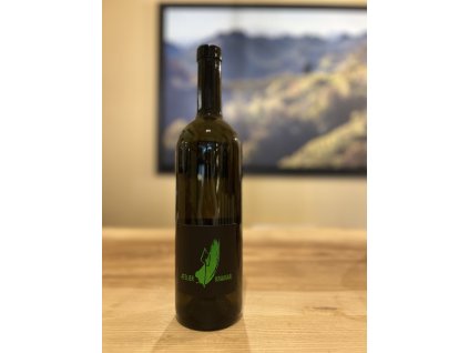 Kramar Zeleni Savignon 2019