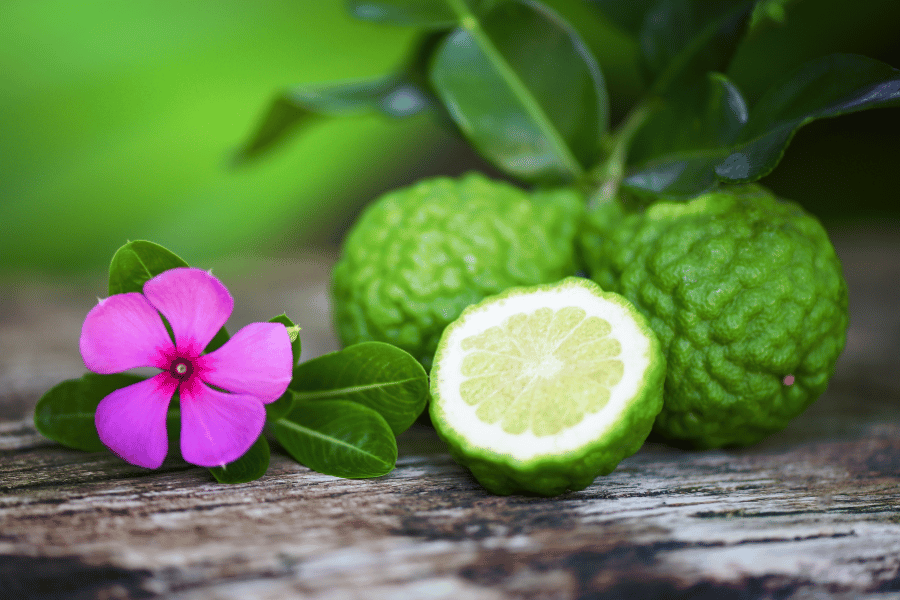 Bergamot (citrus bergamia)