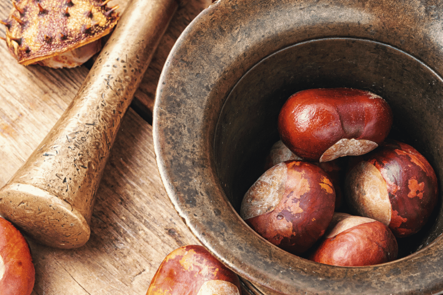 Extrakt z kaštanu (aesculus hippocastanum)