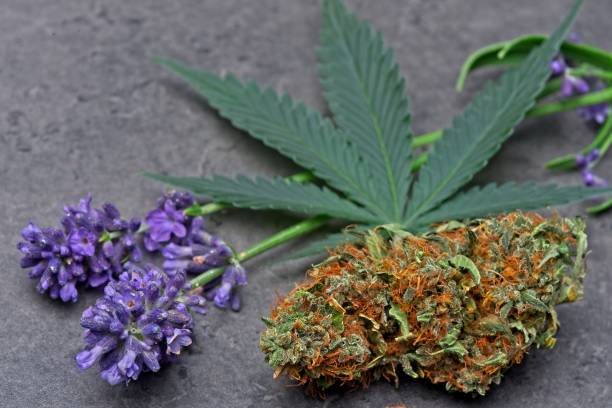 Linalool v kosmetice