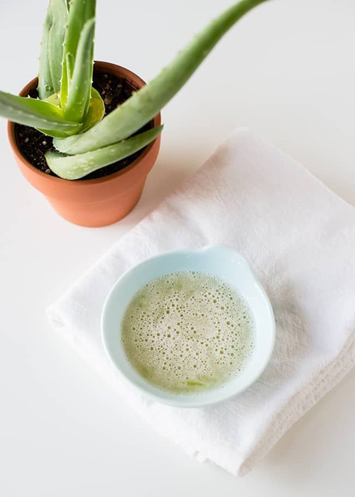 Aloe Vera - nvod na dokonal beauty ritul