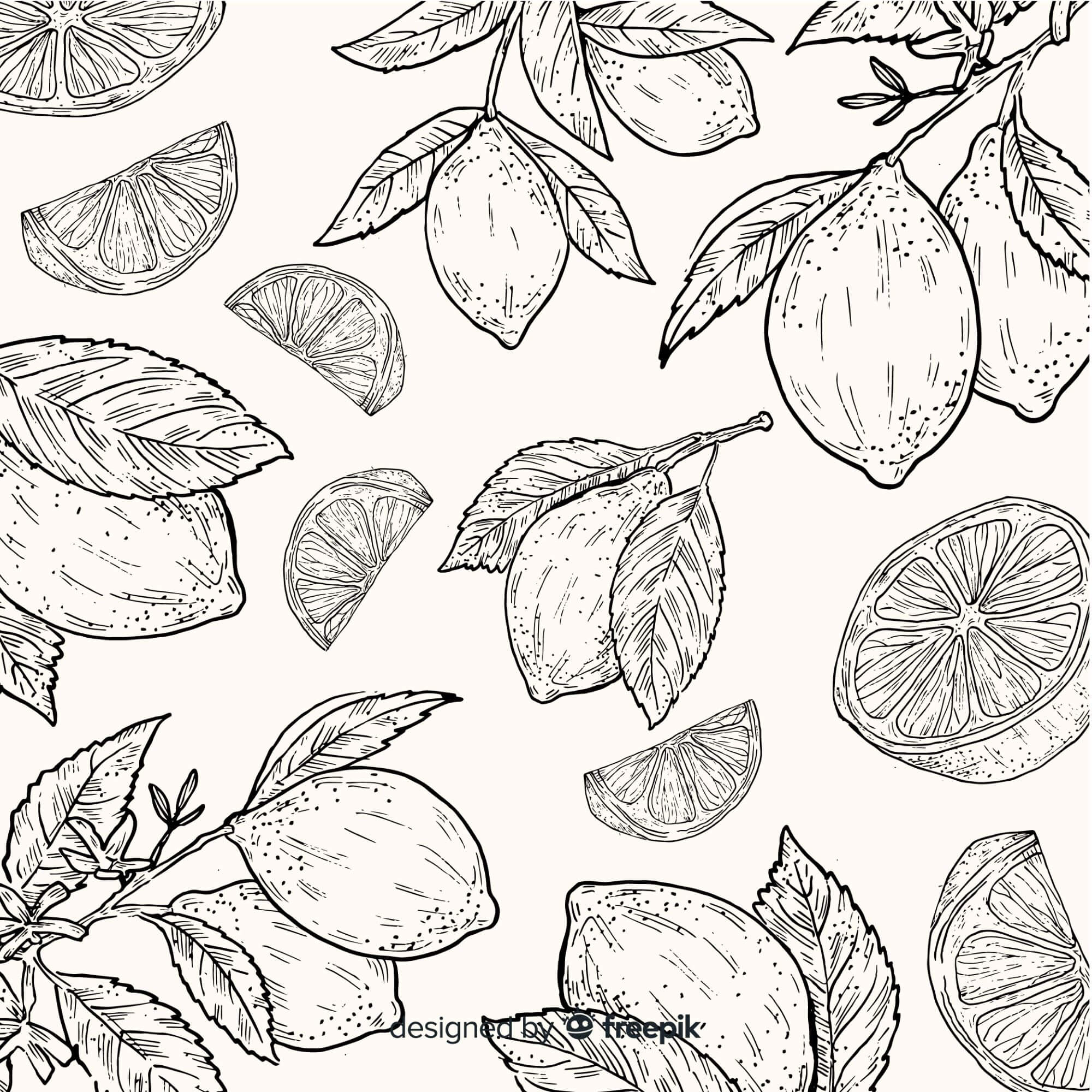 Sušená limetka a jej využívanie