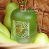 pear potion eau de parfum 100ml emir by paris corner 308008 56136825733452 2024x