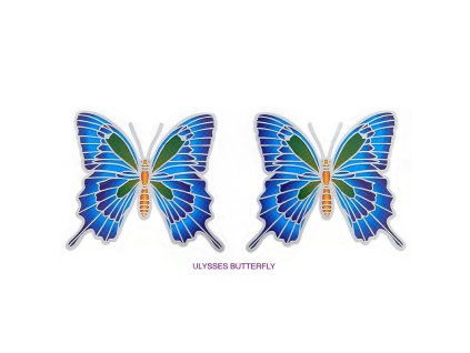 Mandala Sunlight M Ulysses Butterfly