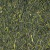 Japonský zelený čaj Sencha Superior 100 g
