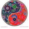 Mandala Sunseal V Yin Yang Mandala