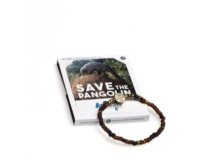 Safe the Pangolin