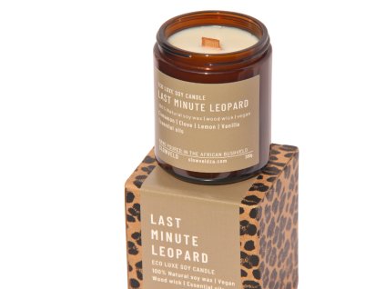 Last Minute Leopard 2