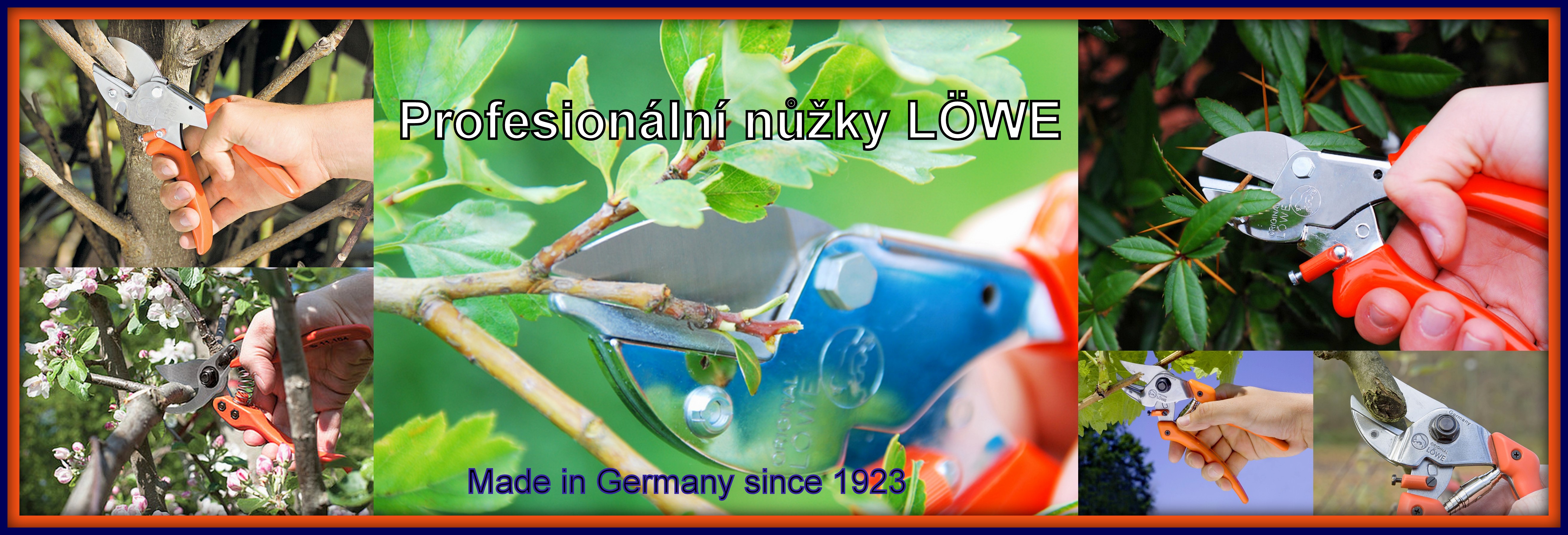 Banner LÖWE AKTION