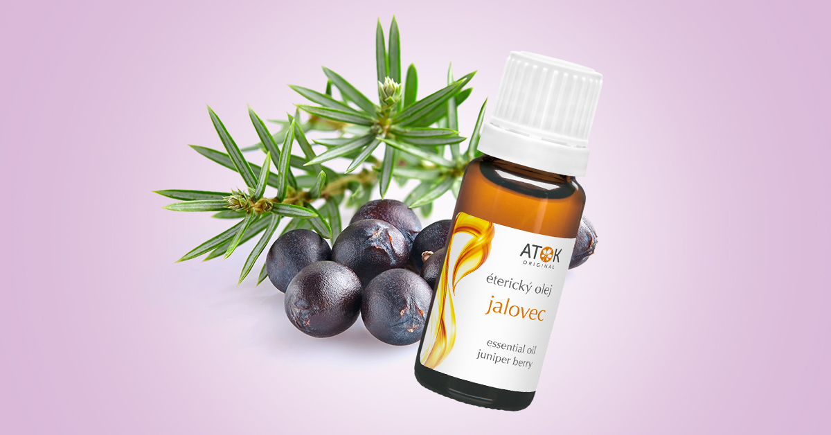 Jalovec: svěží detox pro pokožku i smysly