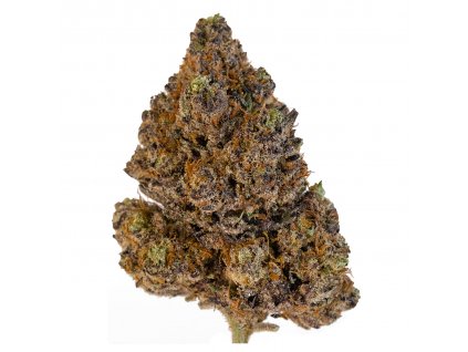 AE1C6513 473F 40B1 9E9C A9081F3DC4B6