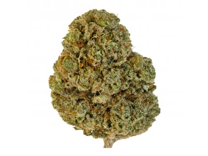 4CCB8869 FED1 418C B5B7 2584FD531EFB