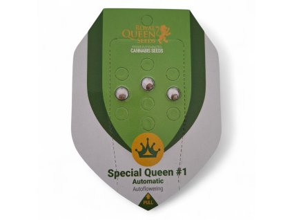 Special Qeen 1 Automatic