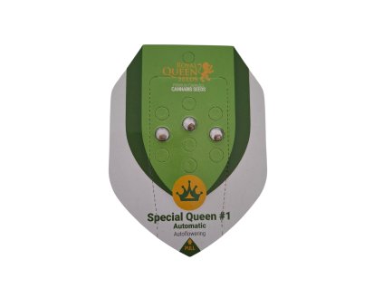 Special Qeen 1 Automatic