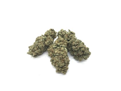 Jack Herer (Počet gramů 5)