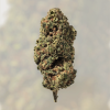 Bubble gum | original cbd shop