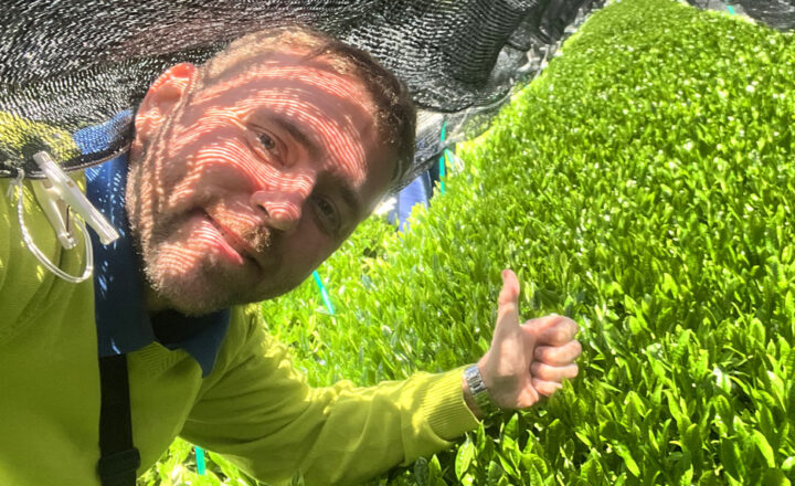Varázslatos utazás Japánban: matcha, tradíció és kaland