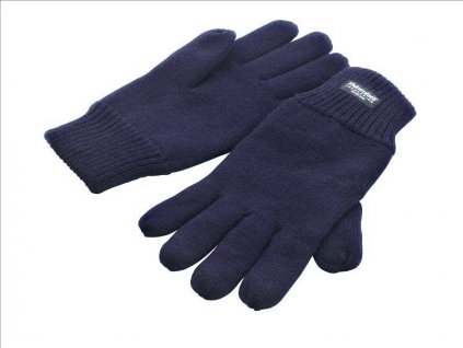 Classic Fully Lined Thinsulate™ Gloves, Navy, L/XL