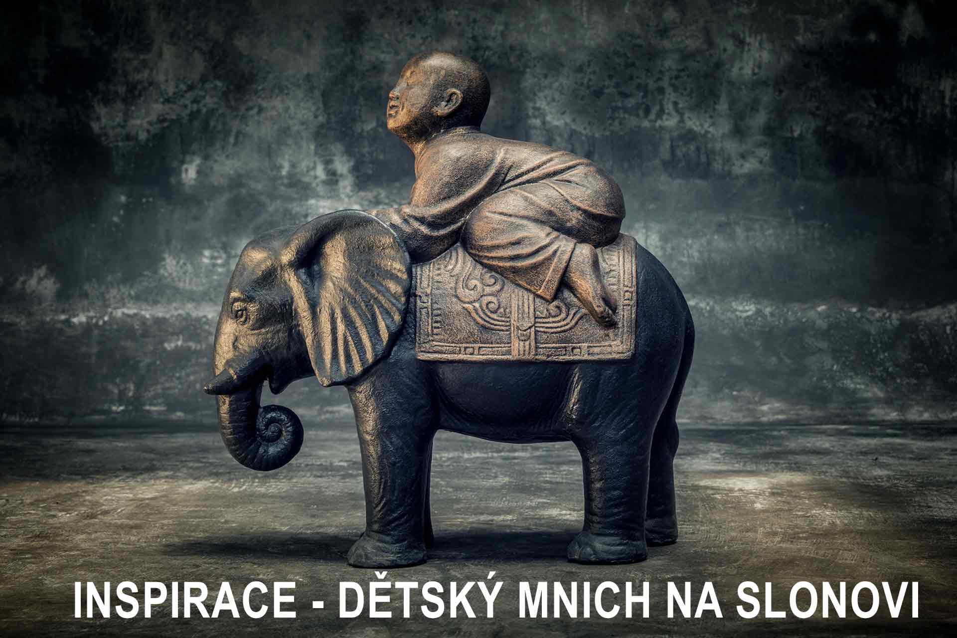 dítě a slon