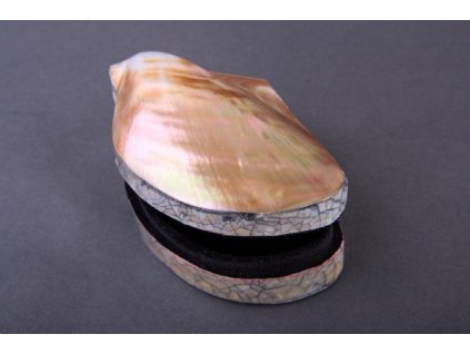 Šperkovnice z opracované mušle Makamabe cca 10x6x5cm